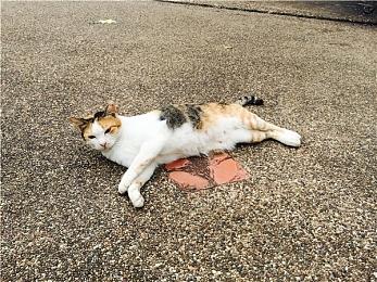 《末刀》参与WeGame试玩节，体验一刀定胜负的纯粹武侠游戏