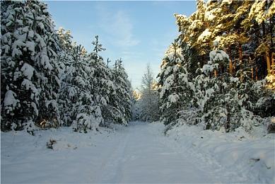 网传Xbox负责人斯宾塞将退休 微软回应：这纯属捏造